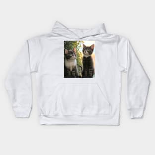 Cute Kittens Beautiful Cats Kids Hoodie